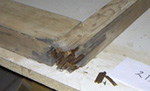 Window sash typical rot.